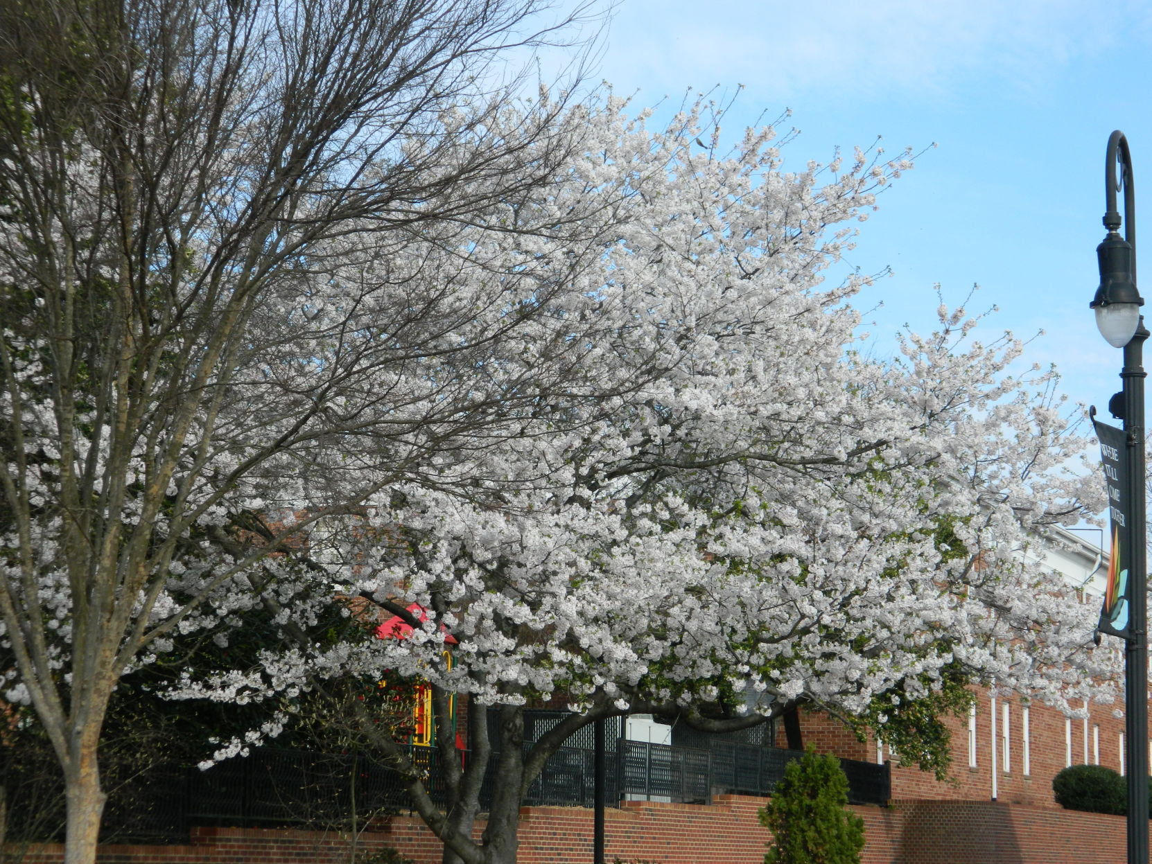 Spring photos (29).JPG